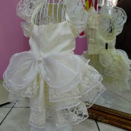 ABITO SPOSA CANE